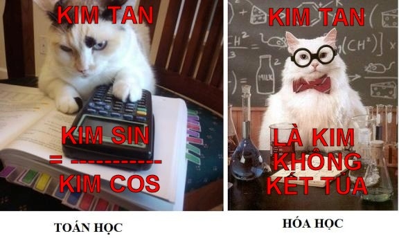 Teen Việt đang "phát cuồng" vì cơn bão The Heirs 14