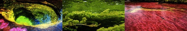 Thăm hồ nước Thần tiên "xanh lét" nằm trong hang động 11