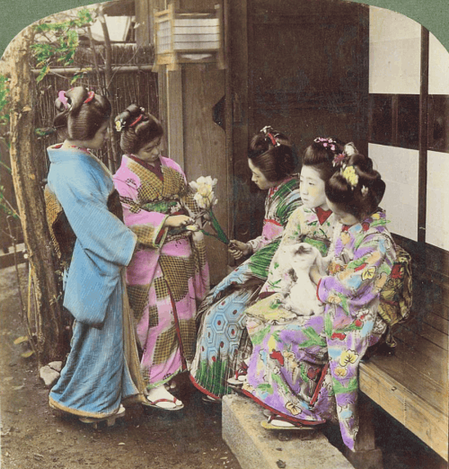 Ngắm geisha thời xưa trong bộ ảnh màu biết... chuyển động 4