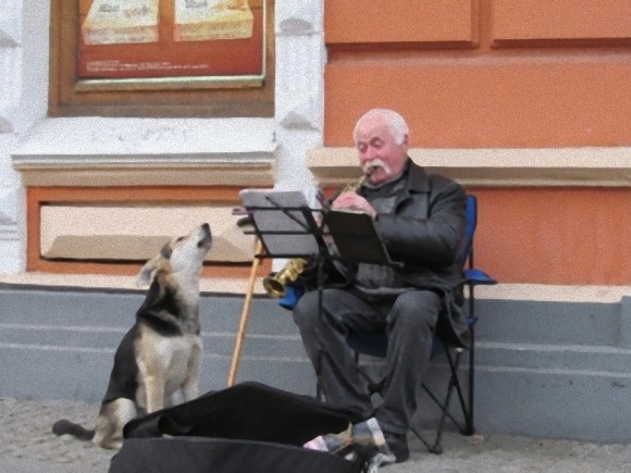 Câu chuyện về ông già chơi saxophone trên phố và chú chó trả ơn bằng... giọng hát 2