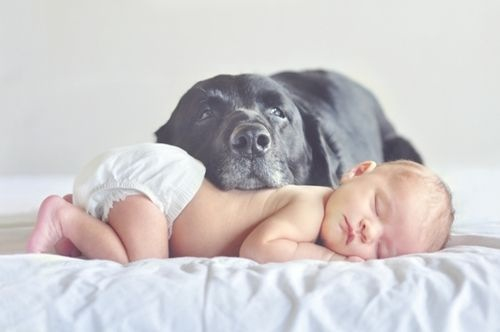 Những bức hình đáng yêu của các em bé và cún con (P.1) 11