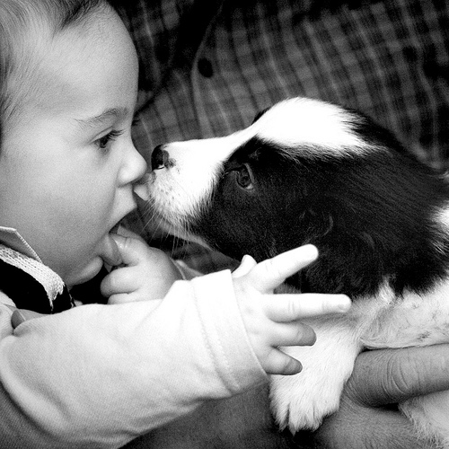 Những bức hình đáng yêu của các em bé và cún con (P.1) 13