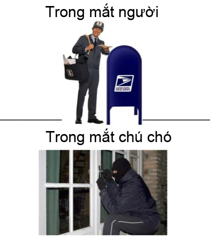 Sự thật 100% 1