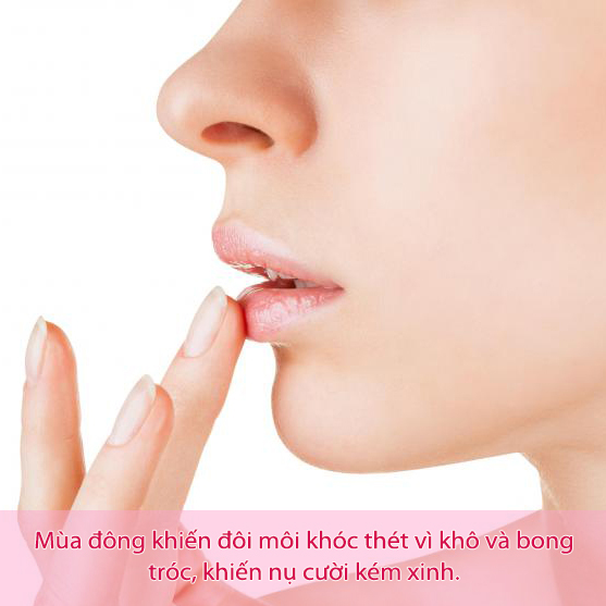 Checklist cho m&ugrave;a Gi&aacute;ng sinh ho&agrave;n hảo  2