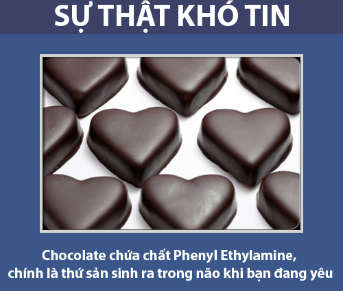 V&igrave; sao s&ocirc;-c&ocirc;-la l&agrave; biểu tượng t&igrave;nh y&ecirc;u? 1