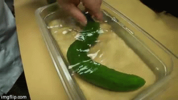Clip: Xem nghệ nhân Sushi biến dưa chuột mềm mại như... rắn nước 1
