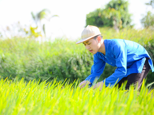Khi sao Việt tập làm nông dân "chân đất" 11