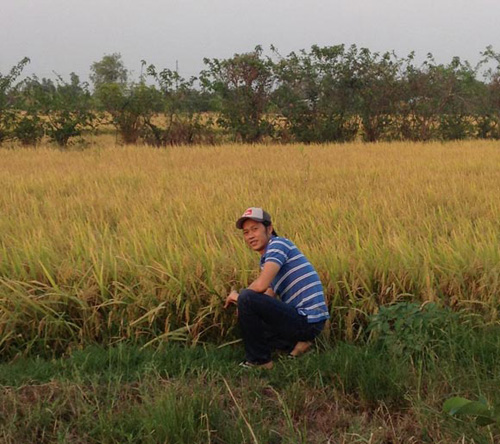 Khi sao Việt tập làm nông dân "chân đất" 12