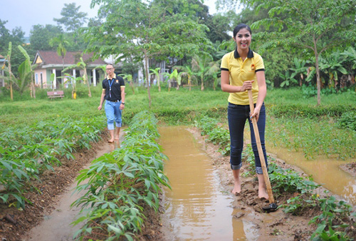 Khi sao Việt tập làm nông dân "chân đất" 17