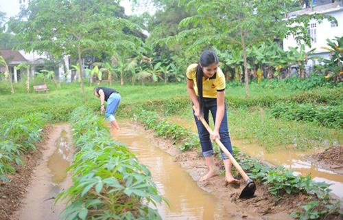 Khi sao Việt tập làm nông dân "chân đất" 16