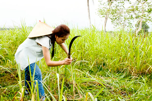 Khi sao Việt tập làm nông dân "chân đất" 8