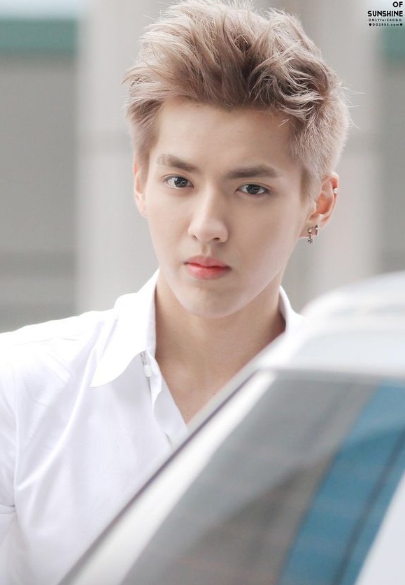 Rời EXO, Kris và Luhan vẫn bị “phớt lờ” ở Trung Quốc 1