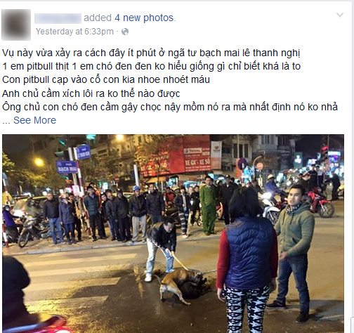 Hình ảnh "chó Pit bull cắn bị thương một chú chó to giữa phố Hà Nội" gây lo ngại 1