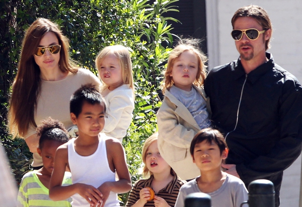 Angelina Jolie và Brad Pitt đã ký hợp đồng tiền hôn nhân  2