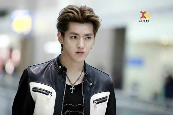 Luhan, Kris, Tao (EXO) vội vã từ Hàn Quốc về quê ăn Tết 3