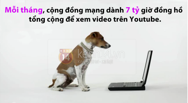 Những sự thật thú vị không phải ai cũng biết về Youtube 1