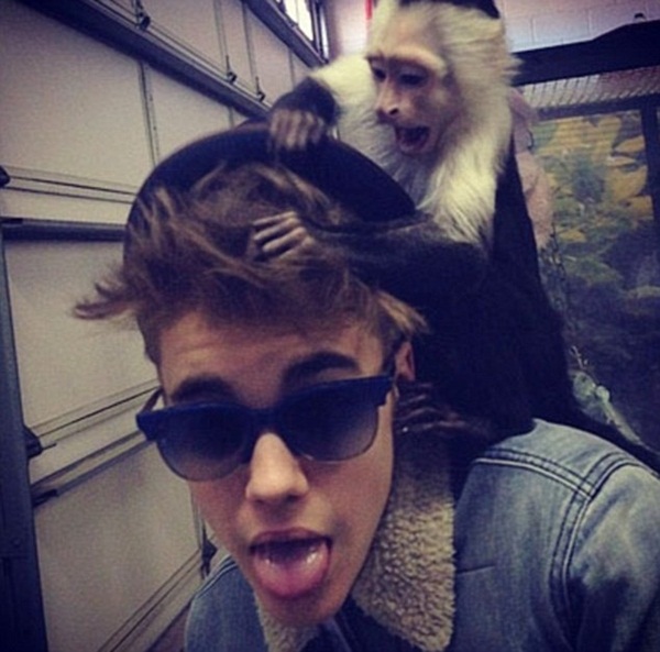 Justin lại bị than phiền vì mang khỉ lên máy bay 1