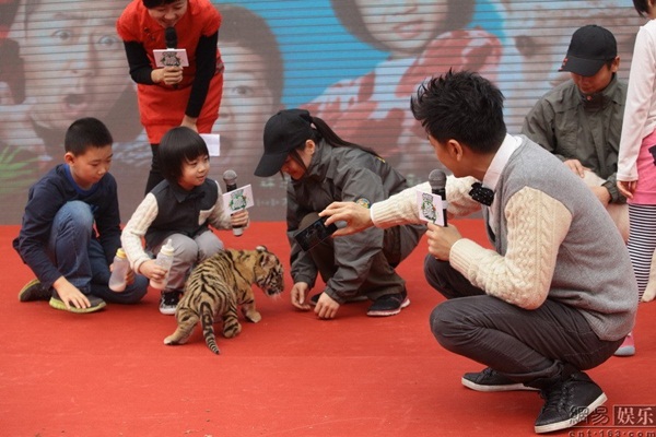 Con trai Lâm Chí Dĩnh bạo dạn cho hổ con uống sữa 5