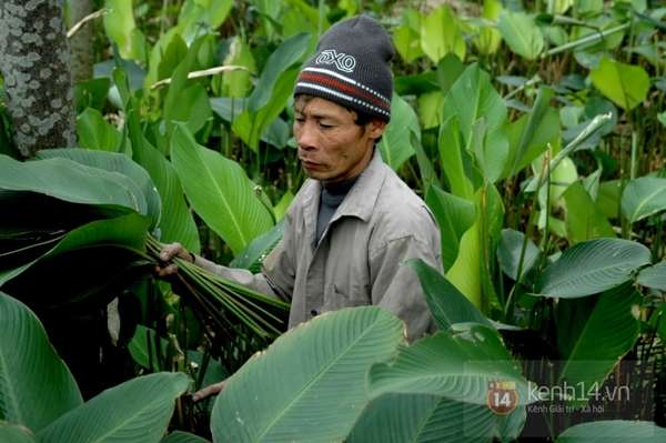 Làng đón Tết sớm nhất, ăn Tết muộn sau cùng 2