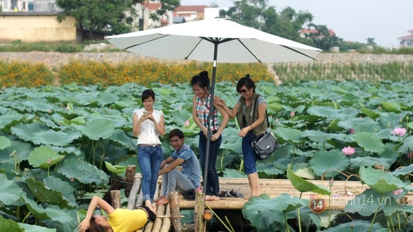 Kiếm hàng triệu đồng mỗi ngày từ dịch vụ chụp ảnh hoa sen ở hồ Tây 3