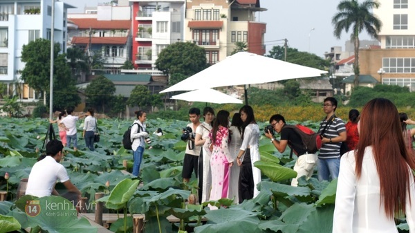 Kiếm hàng triệu đồng mỗi ngày từ dịch vụ chụp ảnh hoa sen ở hồ Tây 12