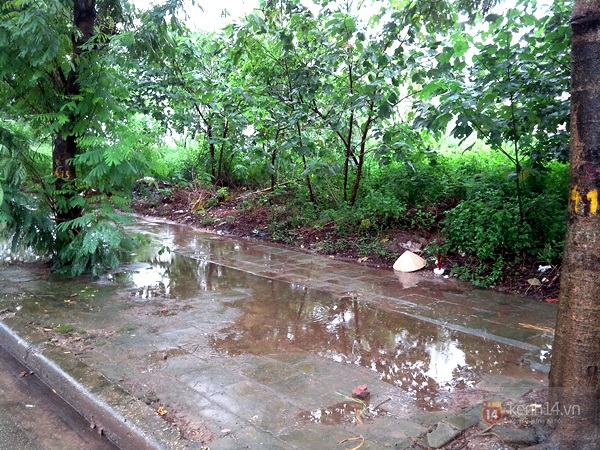 H&agrave; Nội: Ph&aacute;t hiện thi thể người phụ nữ b&ecirc;n vệ đường 1