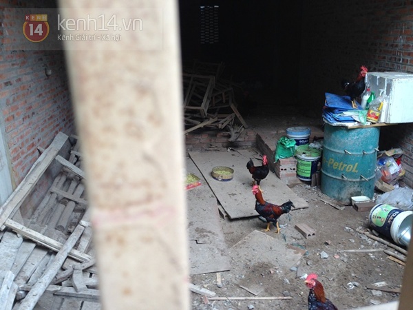 Biệt thự hàng tỉ đồng ở Hà Nội dùng để nuôi gà, trồng rau, thu mua sắt vụn 3