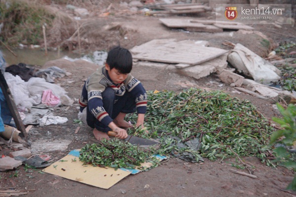 Tết nghèo của người phụ nữ 43 tuổi, sinh 14 con giữa Hà Nội 5