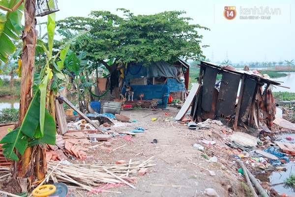 Tết nghèo của người phụ nữ 43 tuổi, sinh 14 con giữa Hà Nội 2