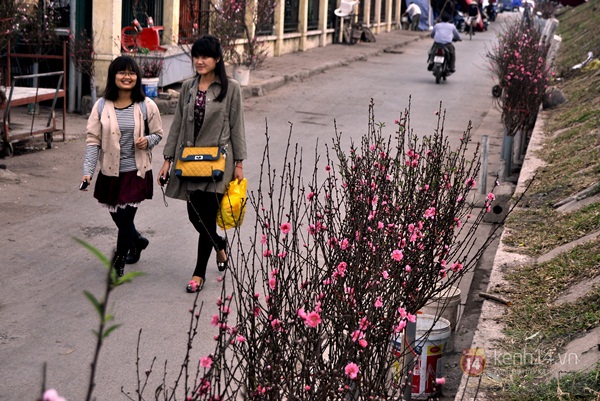 Hoa đào rực rỡ xuống phố, Tết về sớm ở Thủ đô Hà Nội 3