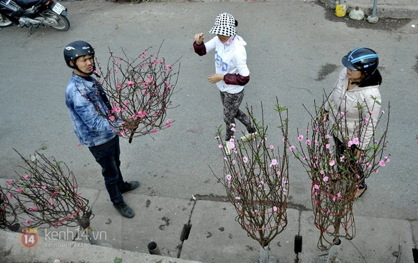 Hoa đào rực rỡ xuống phố, Tết về sớm ở Thủ đô Hà Nội 8