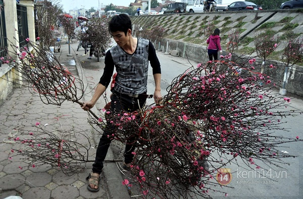 Hoa đào rực rỡ xuống phố, Tết về sớm ở Thủ đô Hà Nội 11