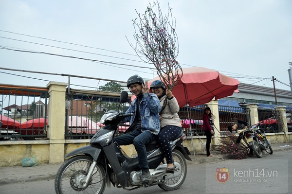 Hoa đào rực rỡ xuống phố, Tết về sớm ở Thủ đô Hà Nội 19