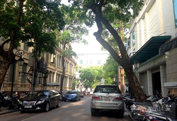 Người Hà Nội lo sợ nhìn nhiều cây xanh chờ gãy đổ trên đường phố 4