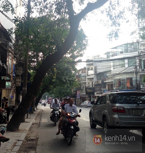 Người Hà Nội lo sợ nhìn nhiều cây xanh chờ gãy đổ trên đường phố 8