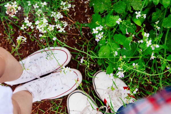 Chùm ảnh: Ngắm mùa hoa ban, hoa cải trắng đẹp mê mẩn ở Đà Lạt 5