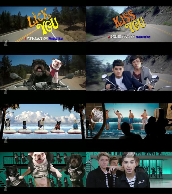 MV "Kiss You" của One Direction có phiên bản... chó 1