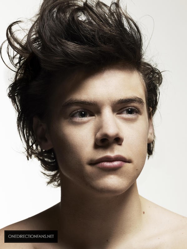 Harry Styles (One Direction) phủ nhận tin đồn "ăn mảnh" 1