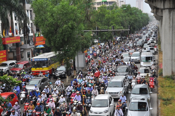 Hà Nội: Tiếp tục chặt hạ, thay thế gần 300 cây xanh trên đường Nguyễn Trãi 1