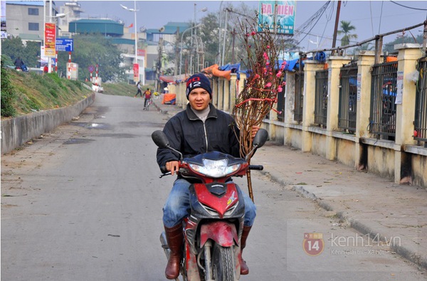 Hà Nội: Đào Nhật Tân giá gần nửa triệu ra phố đón Tết Dương lịch  11