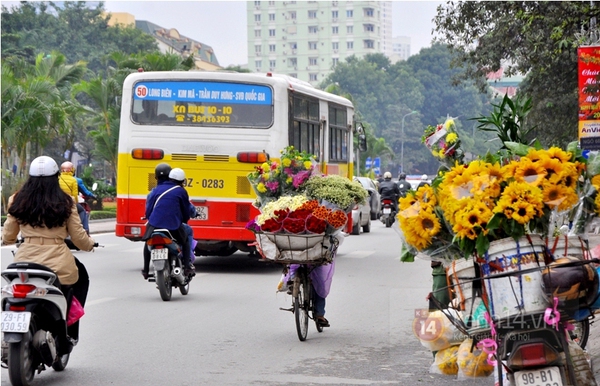 Chùm ảnh: Những chiếc xe đạp cũ "gánh gồng" mưu sinh giữa phố phường Hà Nội 3