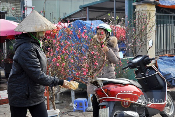 Hà Nội: Đào Nhật Tân giá gần nửa triệu ra phố đón Tết Dương lịch  7