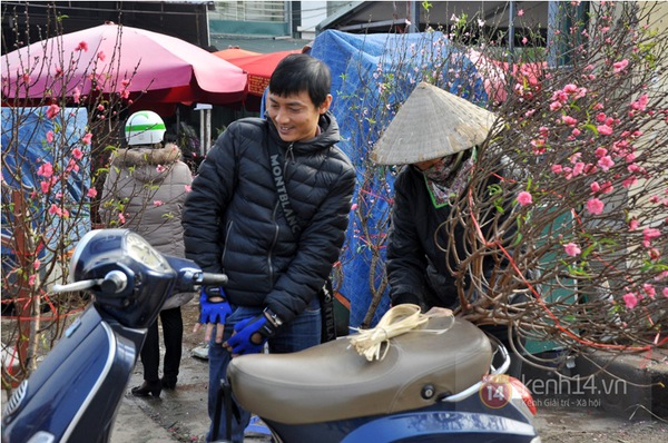 Hà Nội: Đào Nhật Tân giá gần nửa triệu ra phố đón Tết Dương lịch  8