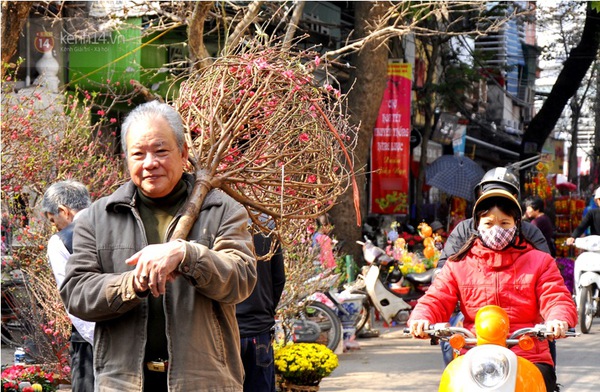 Trời ấm dài ngày, hoa đào đã rực rỡ khoe sắc khắp phố Hà Nội 10