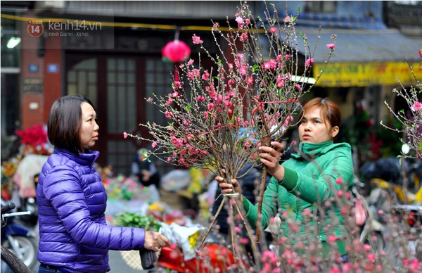 Người Hà Nội thích thú mua cành đào mini cho ngày Rằm tháng Chạp 7