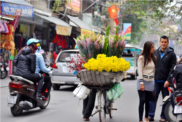 Người Hà Nội thích thú mua cành đào mini cho ngày Rằm tháng Chạp 9