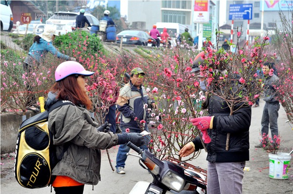Người Hà Nội thích thú mua cành đào mini cho ngày Rằm tháng Chạp 4