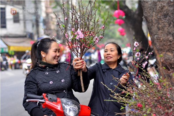 Người Hà Nội thích thú mua cành đào mini cho ngày Rằm tháng Chạp 6