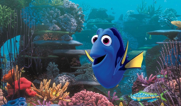 Cá Dory đãng trí được Nemo giúp tìm cha mẹ 3