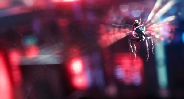 Marvel tung ra trailer chính thức cho Ant-Man 9